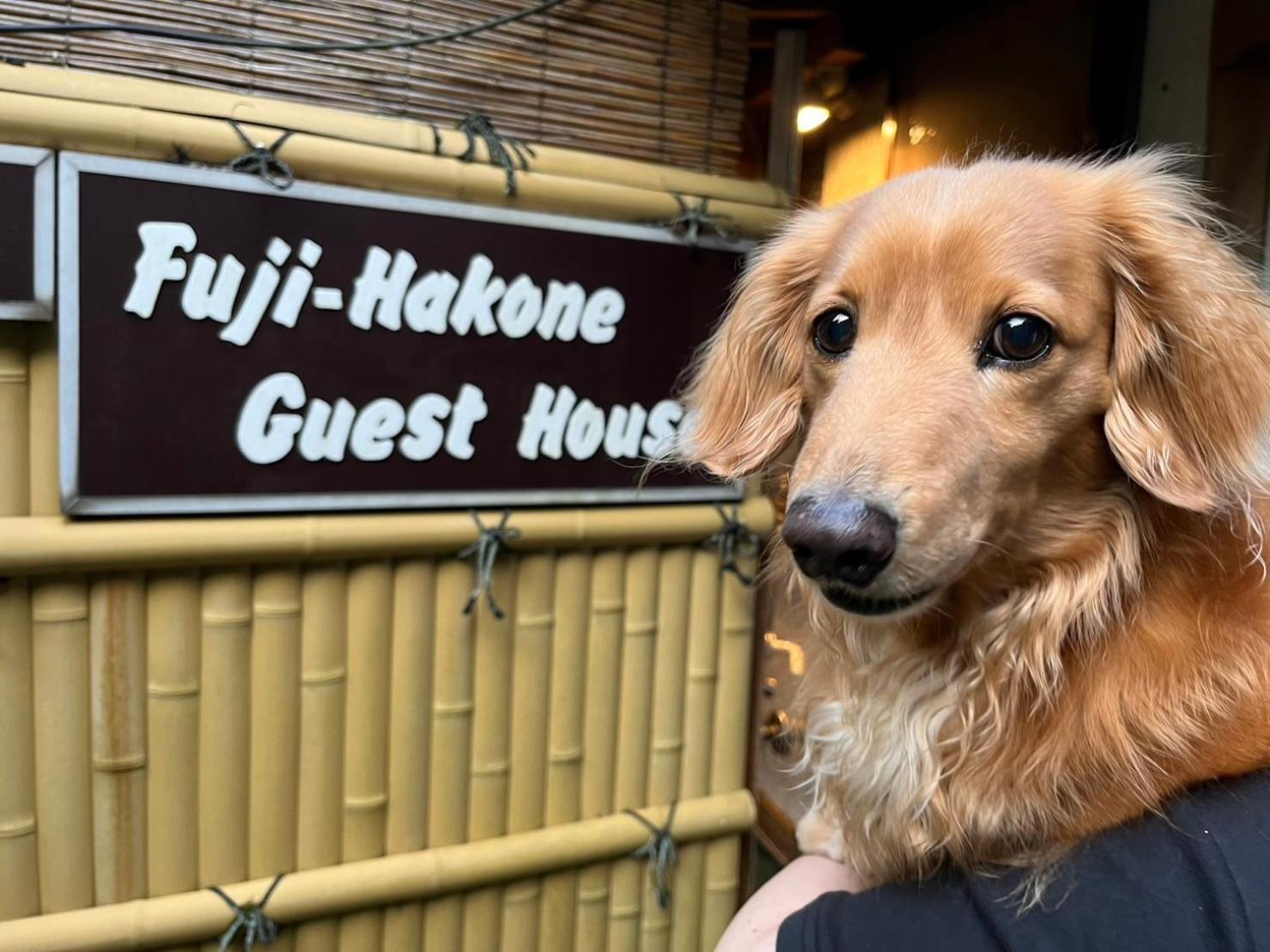 Fuji-Hakone Guest House Экстерьер фото